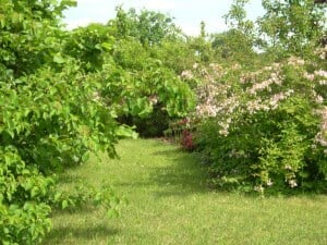 2 zimmer, küche, bad/wc, gartenanteil, 
holzdielenboden in den zimmern