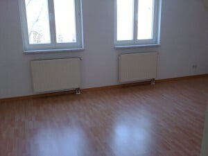 2 zimmer-we mit ebk und wannenad. die wohnung hat eine eigene heizung, frei ab 01.11.2024