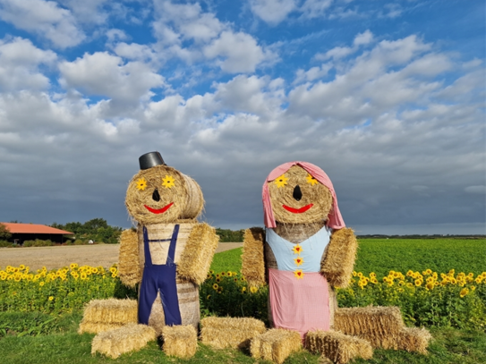 Diverse LaWi- und Rebflächen rund um Friesenheim, Heiligenzell und Lahr