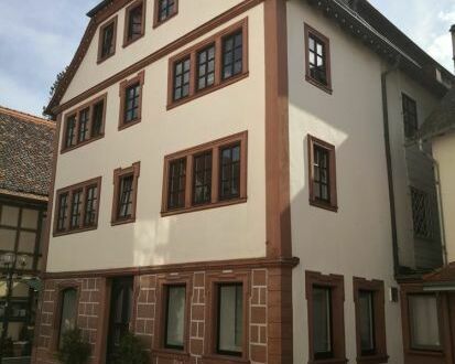 Mitten in Erbach - Historisches Gebäude mit 6 Wohnungen