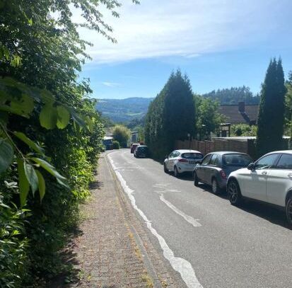 Großes Grundstück - teilbar in 4 - mit Ausblick - Hausen-Wied Bremscheid