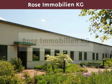 ROSE IMMOBILIEN KG: Produzieren - Lagern - Kommissionieren - Verteilen in Rahden!