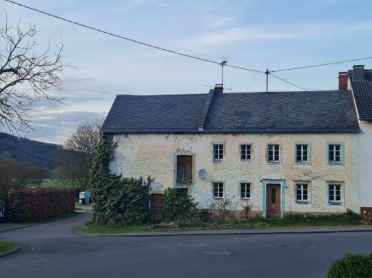 Sanierungsprojekt mit hübschem Garten! L - Echternach 8km!