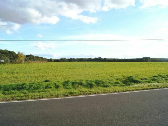 Baugrundstück nahe der Kolpiner Seenkette!