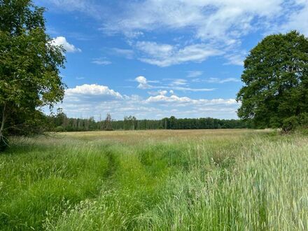 DEUTSCHMANN IMMOBILIEN ***** ivd - "Paket" mit Erholungs-, Wald-, Forst- und Grünflächen im Barnim!