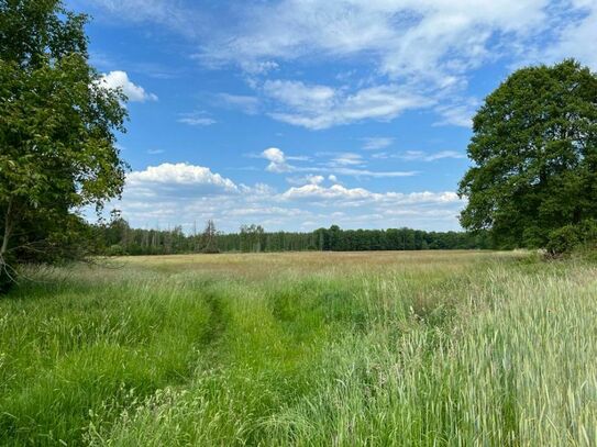 DEUTSCHMANN IMMOBILIEN ***** ivd - "Paket" mit Erholungs-, Wald-, Forst- und Grünflächen im Barnim!