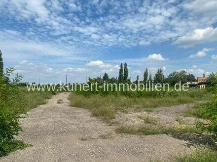 7256 m² Gewerbegrundstück in bester Lage der Delitzscher Straße, zur Bebauung vorbereitet