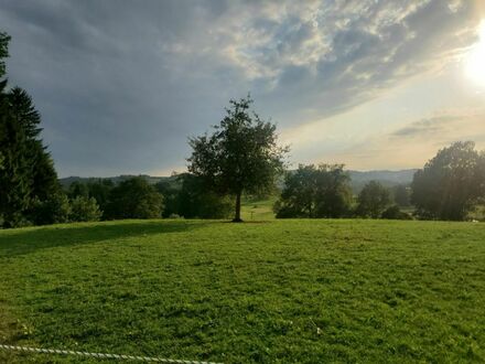 Zweifamilienhaus in Büsingen am Hochrhein tolle Lage super Ausstattung