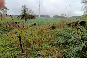 Baugrundstück mit Abrissobjekt - Ruhige Lage, Naturverbundenheit und Weitblick