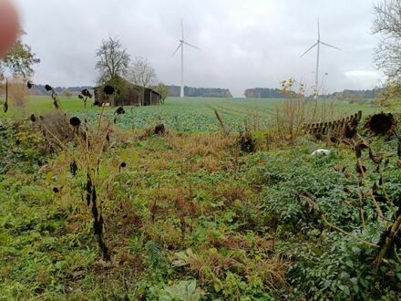 Baugrundstück mit Abrissobjekt - Ruhige Lage, Naturverbundenheit und Weitblick