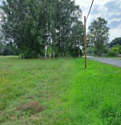 Baugrundstück in traumhafter Lage am Waldrand. Elbnähe. 8400m² Grundstücksgröße - teilbar.