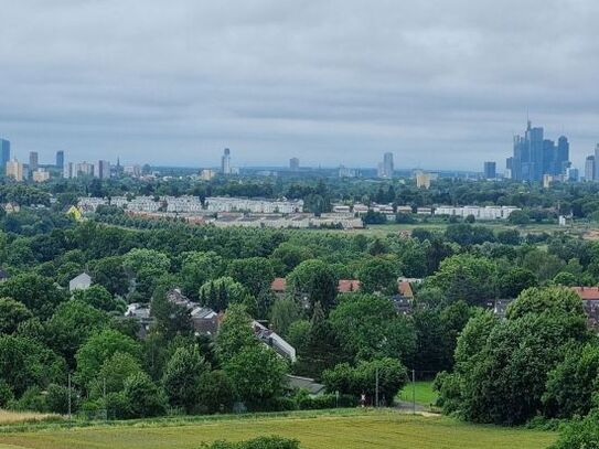 1-Zimmer-Apartment mit Skyline-Blick