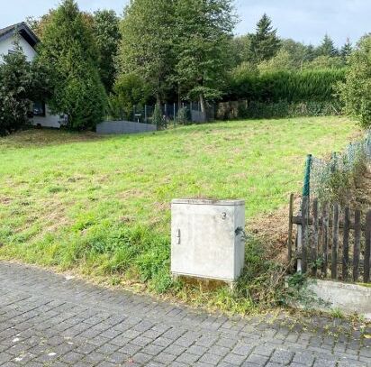 Traben-Trarbach/Wolf: Voll erschlossenes Baugrundstück in ruhiger, sonniger Lage!