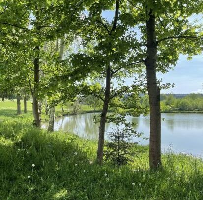 Einzigartiges Anwesen in Deutschland mit über 100.000qm Wald, Wiese, Feld, Fabrik und Villa