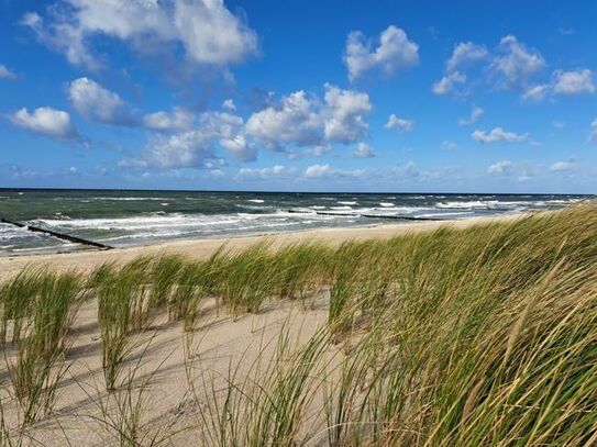 Eine Rarität direkt an der Ostsee zu verkaufen
(Bei Interesse bitten wir um ein schriftliches Kaufpreisangebot)