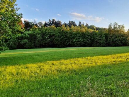 COMING SOON - 2. BAUPLATZ IN BESTER DORF-RANDLAGE VON WITTIBREUT - LANDKREIS ROTTAL-INN - COMING SOON BAUPLATZ - COMING…