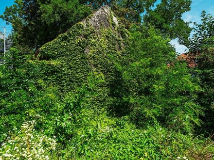 Großes Stadt- und Geschäftshaus in zentraler Lage