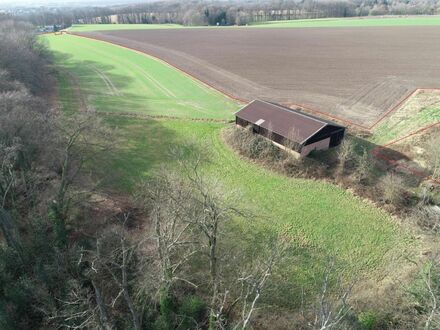 Landwirtschaftliche Fläche mit Stall/Scheunengebäude