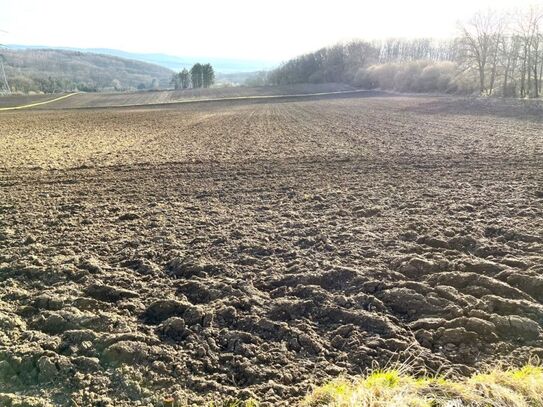 34 ha Ackerland und 4 ha Wald in Wolken und Kobern-Gondorf, Rheinland-Pfalz