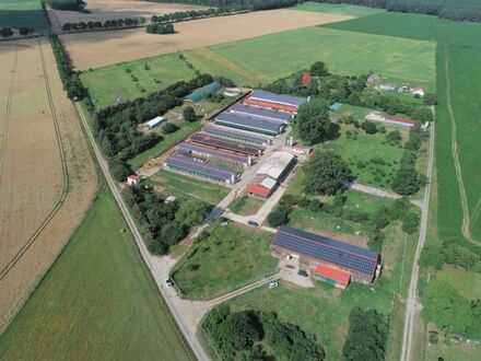Landwirtschaftlicher Großbetrieb/Biobetrieb in Mecklenburg-Vorpommern