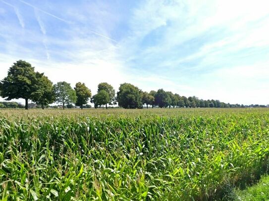 Ackerfläche von ca. 5 ha in Voerde (Niederrhein)