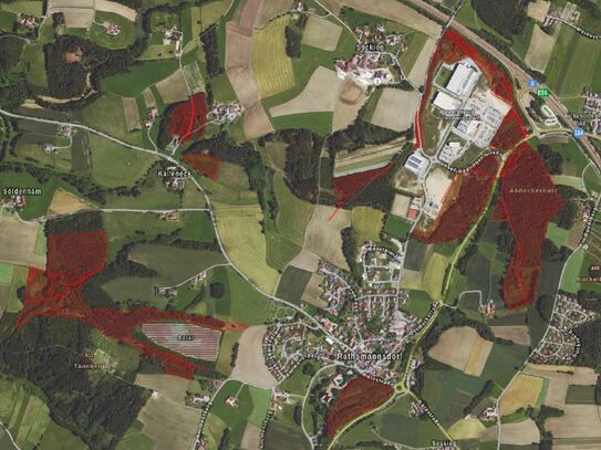 Forstwirtschaftliche Flächen/ Wald in Rathsmannsdorf bei Windorf