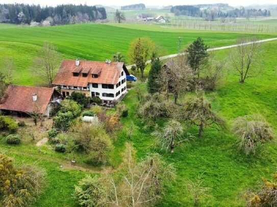 RARITÄT: GROSSZÜGIGES BAUERNHAUS - MIT PFERDESTALL UND REMISE - ALLEINLAGE