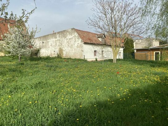 Baugrundstück mit Einfamilienhaus