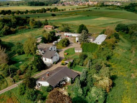 Achtung Pferdeliebhaber 20.000 m²-Gelände mit EFH, Stallungen und Hallen