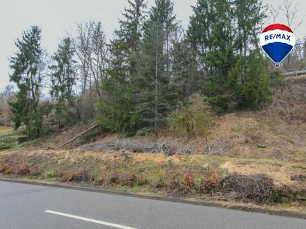 Baugrundstück in Ortsrandlage von Stühlingen