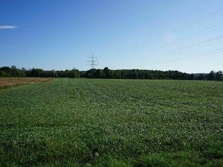 NEU! Landwirte aufgepasst - Sie suchen eine Ackerfläche zum Kaufen?