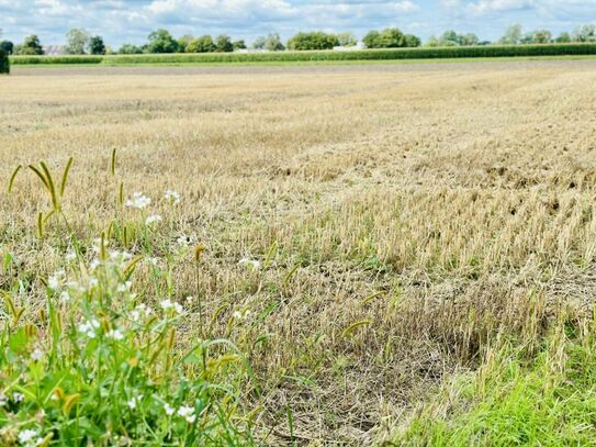 4 Baugrundstücke in schöner Lage von Minderheide