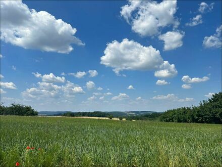 Baugrundstück am repräsentativen Godelsberg in Aschaffenburg mit ca. 493 m²