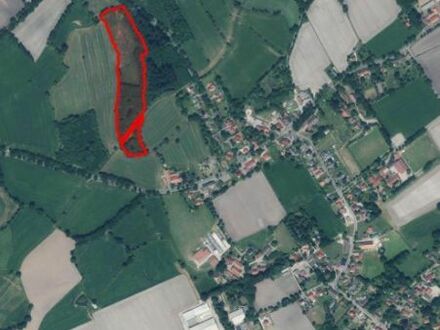 Ca. 3,13 Hektar Ausgleichsflächen (Wald, Teich, Grünland) in Westerloy (Beckbrüggen)