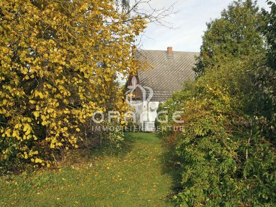 ***Resthof am Dorfrand mit viel Platz für Mensch und Tier***