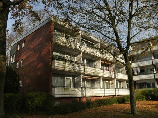 Gut geschnittene 1-Zimmer-Hochparterre-Wohnung nur einen "Katzensprung" bis Norderstedt-Mitte