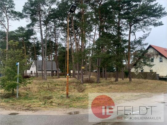 "Natur Pur" und doch berlinnah!
Baugrundstück inmitten der Teupitzer Seenlandschaft