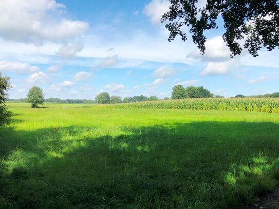 Landwirtschaftliche Fläche in Randlage von Cloppenburg