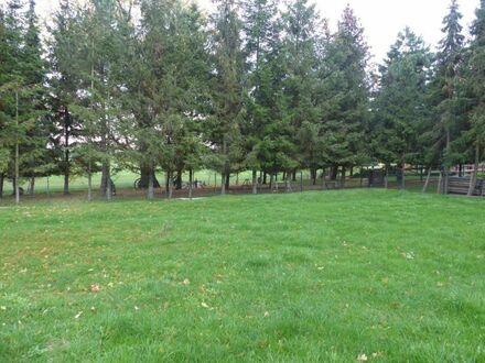 Gartengrundstück im Lampertswalde zu verkaufen