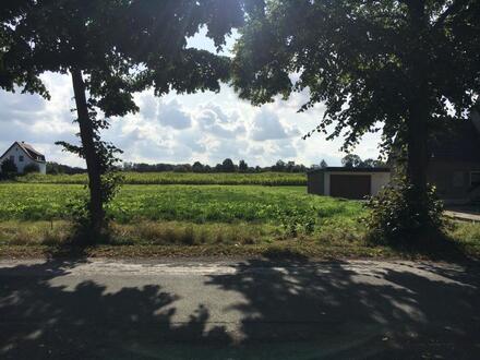 Traumhafter Blick in die Natur?