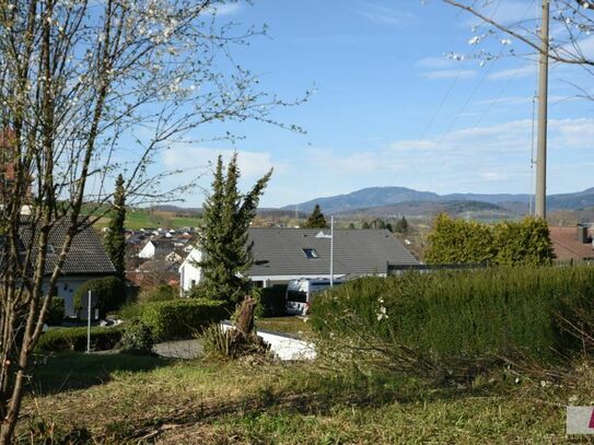 Bauplatz in Binzen mit Blauenblick