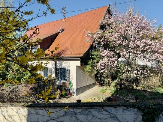 Winzerhaus mit hochwertiger Ausstattung