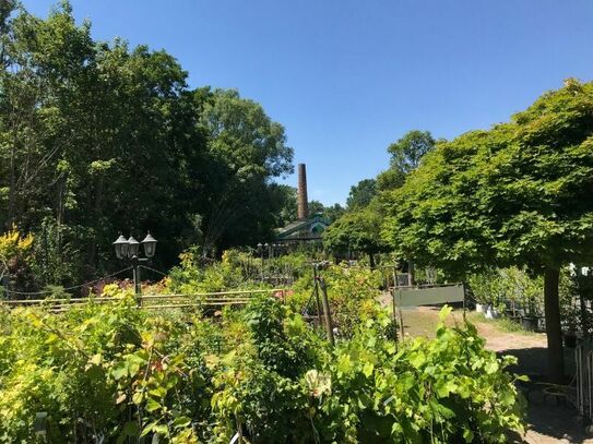 Gartenfachmarkt auf 17.000 m² - Garten hat Zukunft!