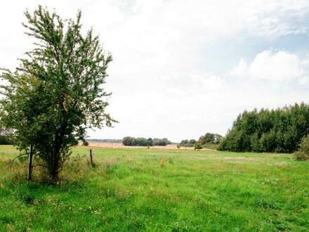 Attraktives Landhaus (Reetdach) in Alleinlage und Ostseenähe mit arrondierten Weideflächen