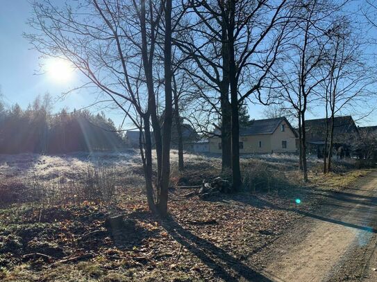 Baugrundstück im Spreewald Schmogrow zu verkaufen