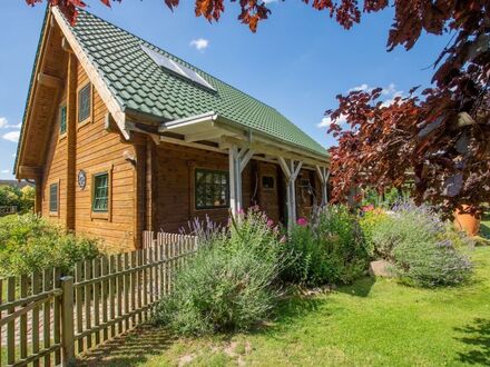Solides Holzhaus an unbebauter Natur