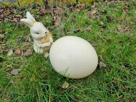 Ostern schon mal Eier suchen - Weihnachten im neuen Haus feiern!