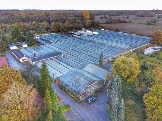 Attraktiver Gartenbaubetrieb auf 26.000 m²: Privilegierter Außenbereich mit Entwicklungspotenzial