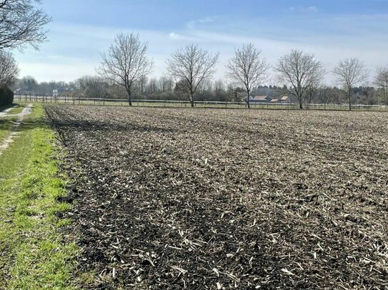 10.000 m² Acker, Landwirtschaftsfläche 
im Gemeindegebiet Oberschleißheim 
zu verkaufen!