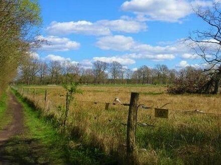 Direkt am Naturschutzgebiet: Ihr Bauplatz für eine Doppelhaushälfte